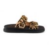Εικόνα της Παντόφλα ανατομική με leopard print και χρυσές αγκράφες 